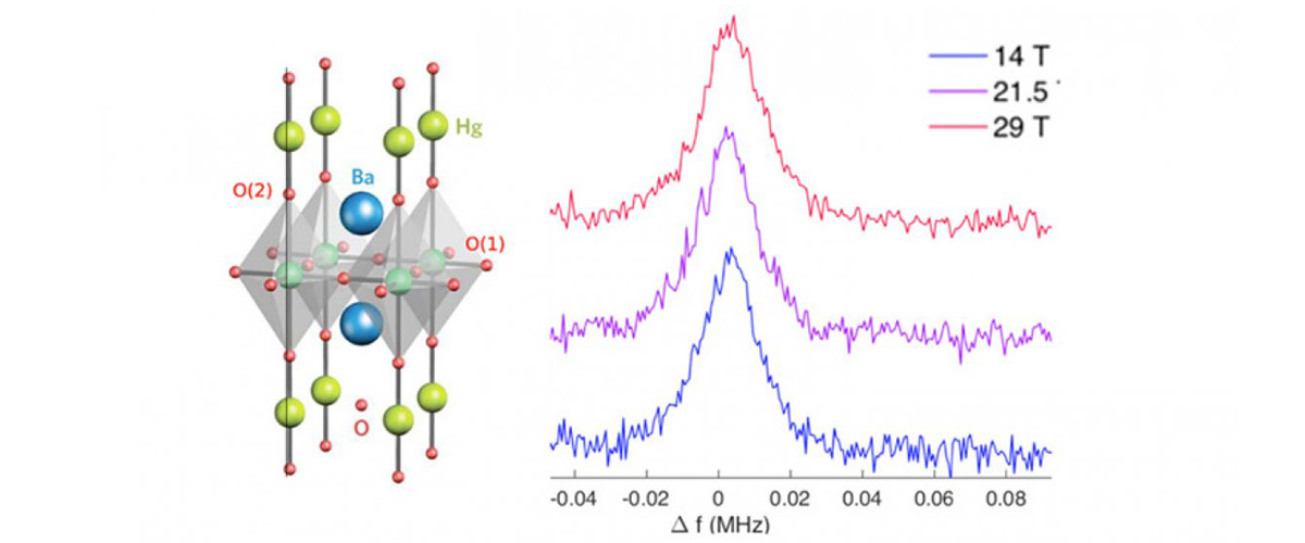 Measurements of the oxygen-17 spectra as a function of magnetic field at a temperature of 5K, are shown above to be independent of field for the O(2) apical site.