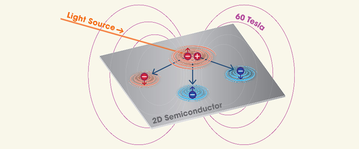 The data show that when light creates an “exciton” in the WSe2, it interacts simultaneously with not just one but multiple reservoirs of electrons, each with a different set of spin (up or down) and momentum (+K or –K) degrees of freedom.