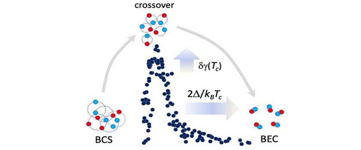 BCS (left) refers to a conventional Bardeen-Schrieffer-Cooper state (i.e. weak pairing state) found in most superconductors, while BEC (right) refers to the strong pairing limit of a Bose-Einstein Condensate.