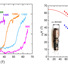 Superconducting upper critical fields as a function of temperature for two samples under pressures of 150 and 170 GPa.