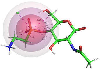 3D rendering of the structure of phosphonates found in velvet worm slime.