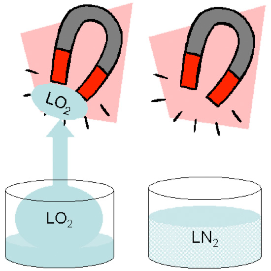 Paramagnetic Properties of Liquid Oxygen