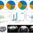 A variety of factors such as sex, strain, anesthesia, magnetic field strength, and breathing rate can affect the results of an fMRI scan. Image reprinted from original citation