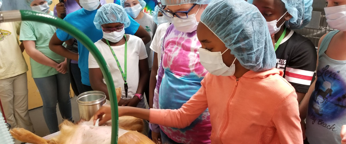 SciGirls at animal shelter