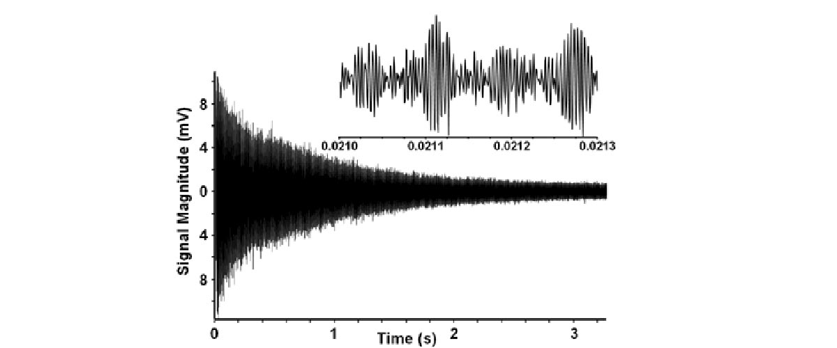 Ion cyclotron resonance time domain signal.