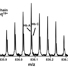 "Hb AC" denotes heterozygous β-chains: one normal, and one with a single mutation of glutamic acid to lysine at amino acid sequence position 6.