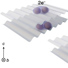 Crystal structure of SrTa2S5, Illustration of intralayer electronic pairing, and Illustration of interlayer electronic pairing