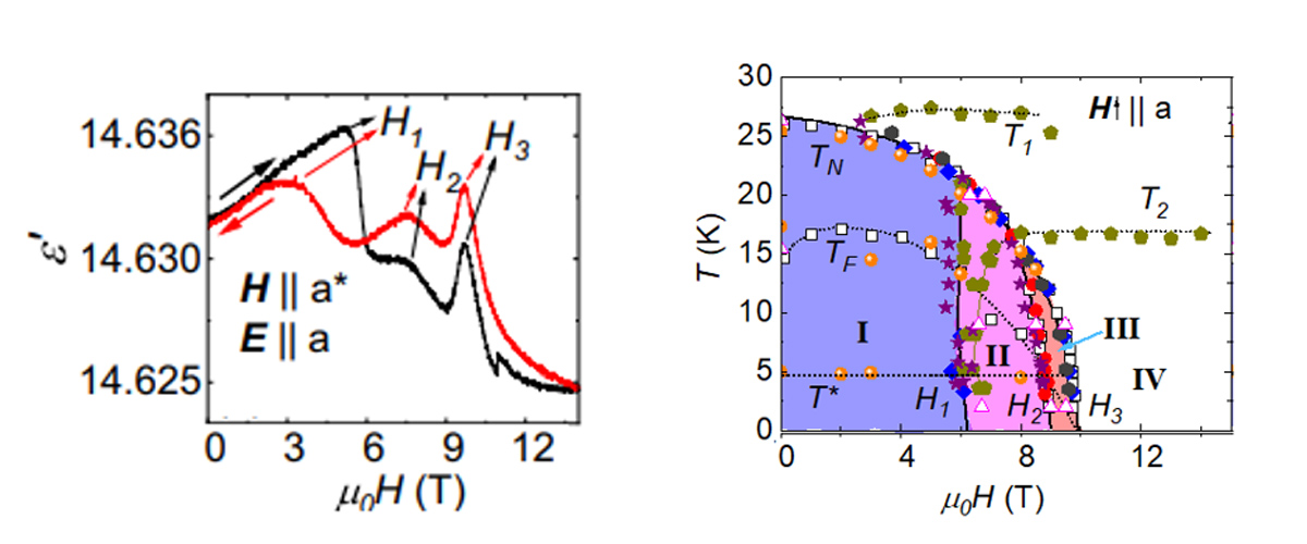 Physical properties of the the spin liquid compound with spins on a honeycomb lattice, Na2Co2TeO6