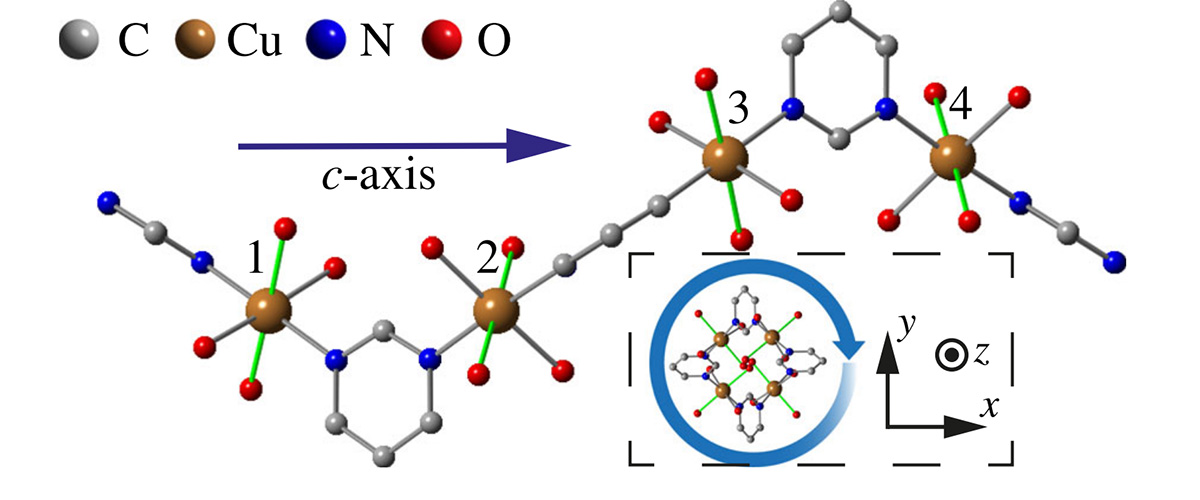 Scientists studied the copper-based compound [Cu(pyrimidine)H2O4] SiF6 H2O. Repeating units of four copper ions (see above) create corkscrew-like chains with intriguing magnetic properties.