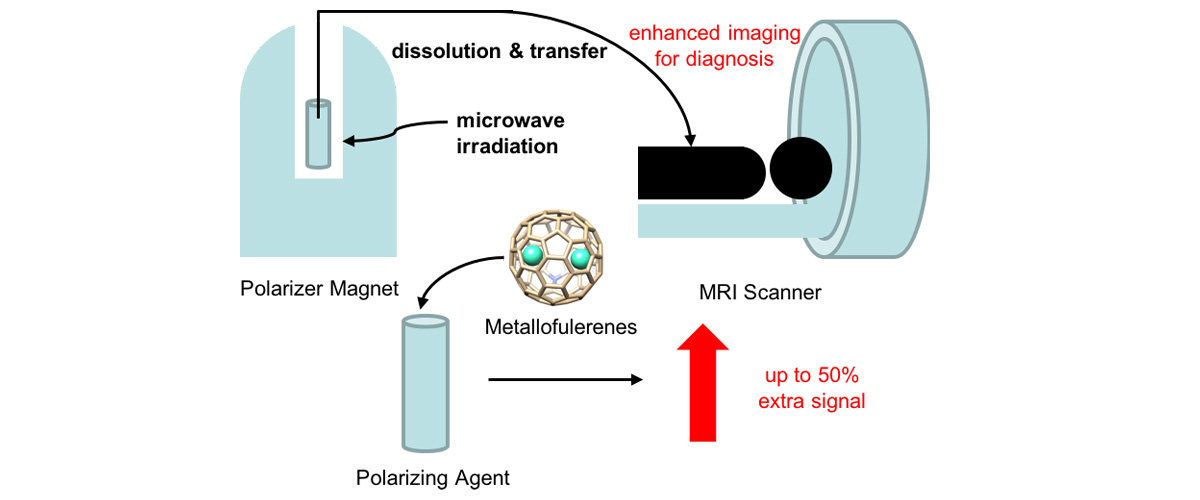 Schematic illustrating the dissolution DNP process.