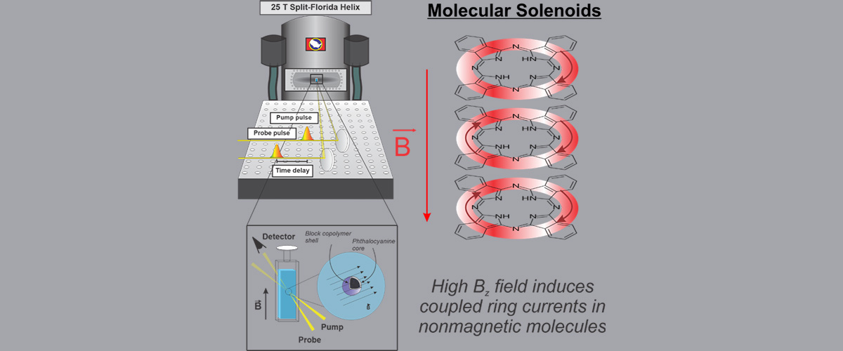 High magnetic fields induce circular electronic motion (ring currents) around the chemical bond loops in non-magnetic aromatic molecules.