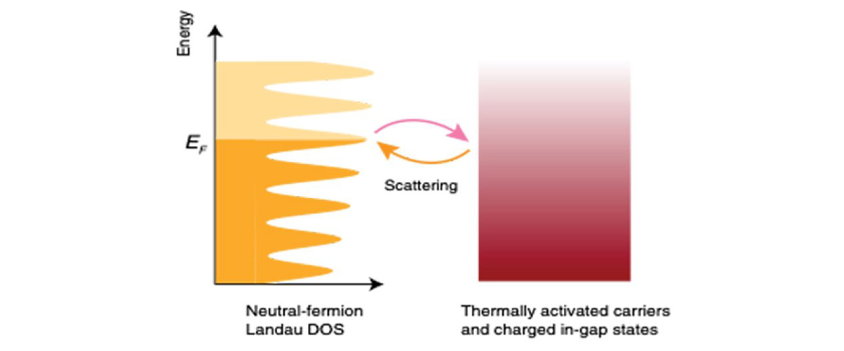 Sketch of the two fluids in YbB12 showing their densities of states