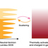 Sketch of the two fluids in YbB12 showing their densities of states