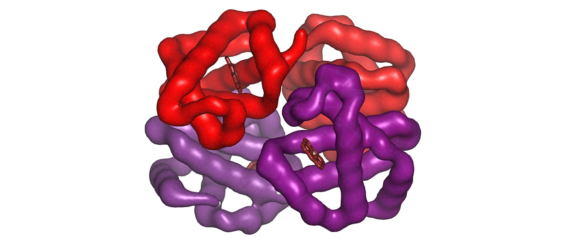 Hemoglobin