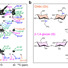 Left: Two-dimensional 13C-13C spectra. Right: Representative structure of glycans