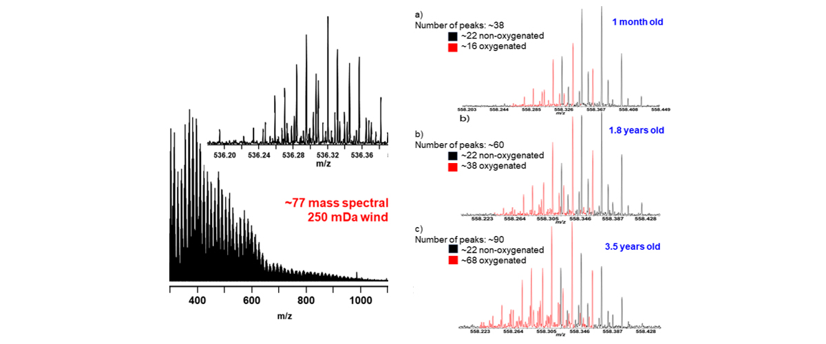 Mass spectrum of the initial sample extracted in methanol, with mass-scale zoom inset at m/z 536.