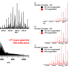 Mass spectrum of the initial sample extracted in methanol, with mass-scale zoom inset at m/z 536.