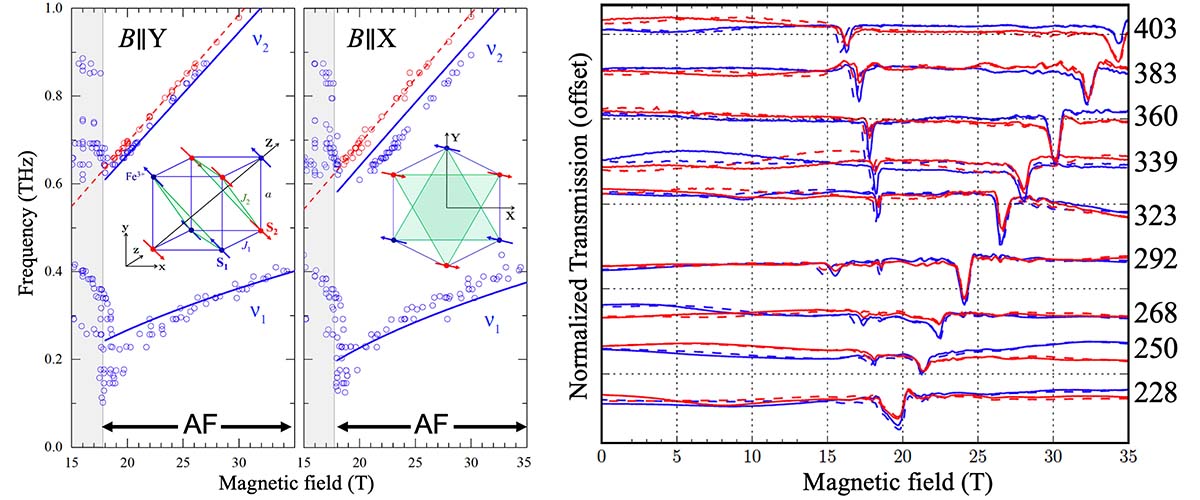 Normalized transmission through a BiFeO3 crystal with the magnetic field.