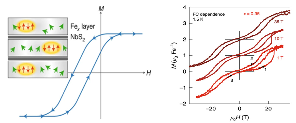 Schematic of the co-existence of antiferromagnetism and spin glass orders in FeXNbS2