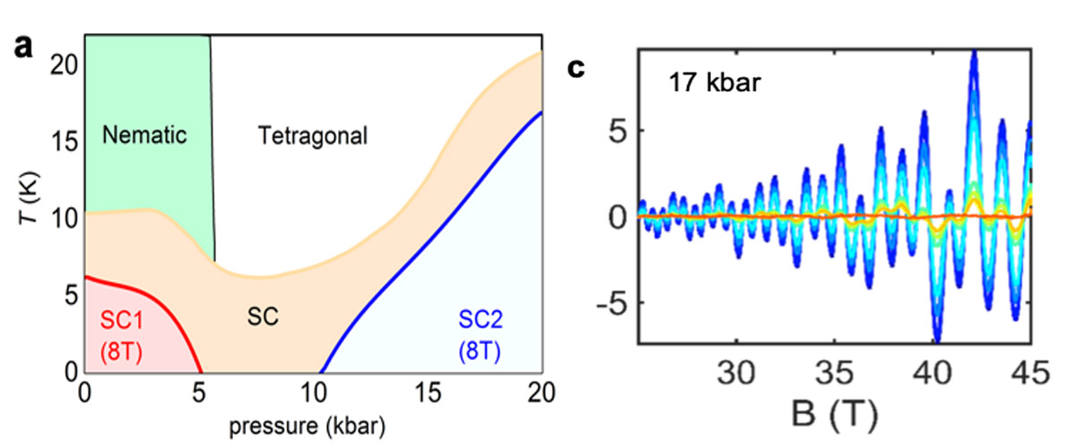 (a) The phase diagram of FeSe0.89S0.11 which shows two distinct superconducting domes that are separated by a change of the Fermi surface at intermediate pressures (i.e. Lifshitz transition). (c) This is confirmed by a shift in the quantum oscillation frequencies with higher pressures. The largest oscillations shown (blue) are for a temperature of 0.3K.