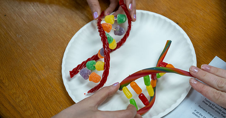 Examples of candy DNA