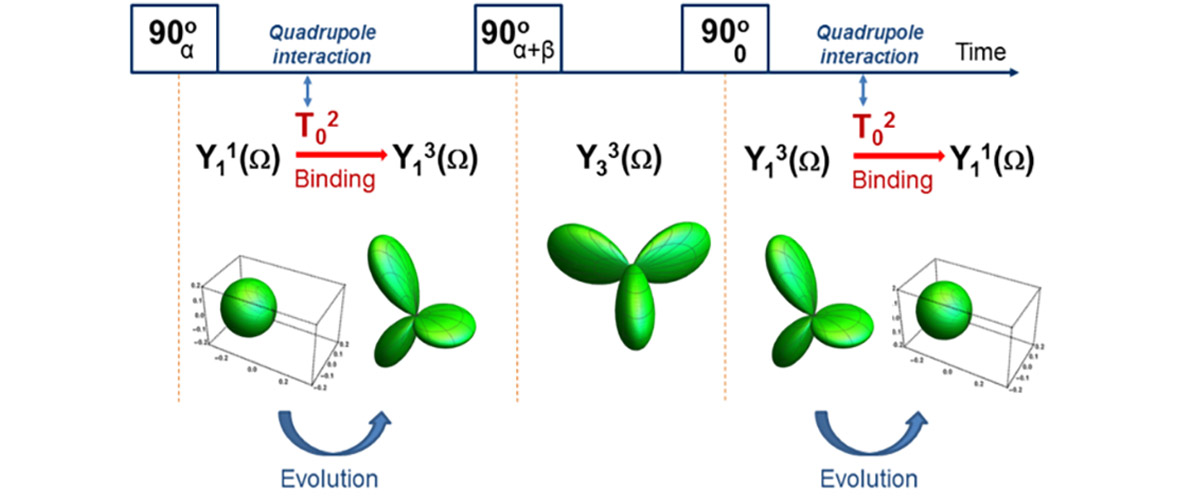 The computer based analytical tool is illustrated by visualization of the TQ MR signals inside the traditional TQ RF pulse sequence used to detect bound ions.