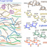 Structural model of fungal cell walls supported by extensive solid-state NMR data.