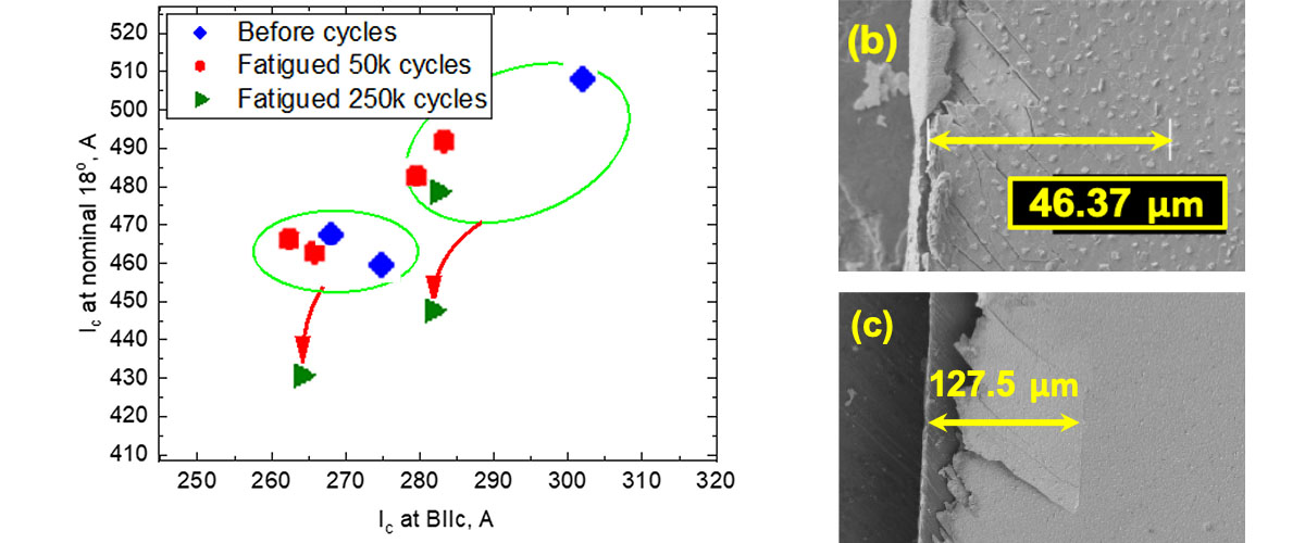 Cracks penetrate from the edge of REBCO tape (b) 120 microns after 250,000 fatigue cycles.