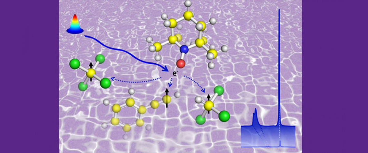 A microwave beam (rainbow and solid blue arrow) is used to excite a free electron (purple), which in turn enhances (dashed blue arrows) magnetic resonance signals (black arrows) on near-by carbon atoms (yellow), thus allowing high sensitivity in combination with high-resolution.