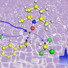 A microwave beam (rainbow and solid blue arrow) is used to excite a free electron (purple), which in turn enhances (dashed blue arrows) magnetic resonance signals (black arrows) on near-by carbon atoms (yellow), thus allowing high sensitivity in combination with high-resolution.