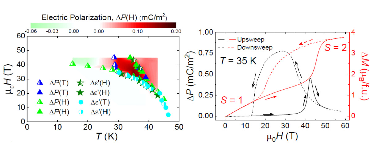 Phase diagram in DC fields of Mn(taa) in which the color scale is the electric polarization