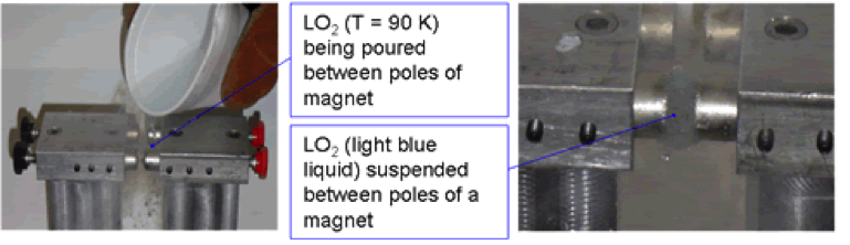 Paramagnetic Properties of Liquid Oxygen