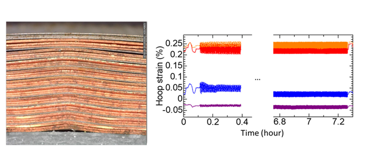 Left: Coil buckling at -0.4% strain Right: Measured hoop strain showed negligible degradation over 20,000 cycles.