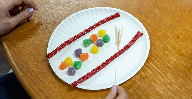 Put candies and toothpicks on the plate