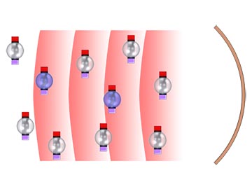 Magnetic Resonance Imaging (MRI)