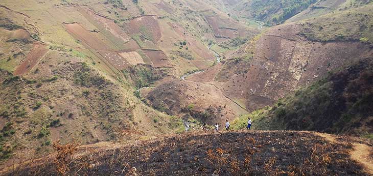 Vast tracts of once-pristine land in the Democratic Republic of the Congo have been denuded of their forests. As the country's population continues to balloon, more area is needed for agriculture land use.