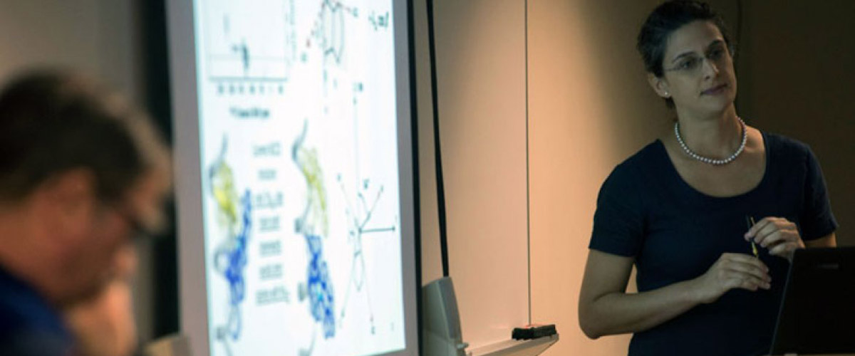 Joana Paulino defends her Ph.D. thesis as her advisor, Tim Cross, listens in the foreground