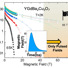 Measuring non-linear electric field.