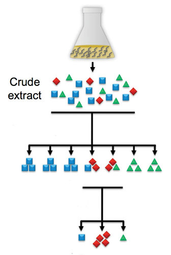 Fractionation