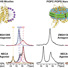 Receptor proteins respond differently to drugs depending on the environment in which they are studied.