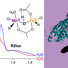 Left: Magnetic field-swept pulsed electron echo-detected (ED) spectrum of a reactive, short-lived state of Mn/Fe R2lox after binding oxygen. Right: Detailed structure of the “R2lox” metalloprotein