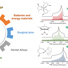 Left: The platinum group elements. Right: Study of a series of inorganic and organometallic compounds.