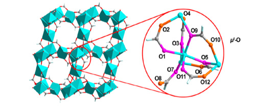 The α-Mg3(HCOO)6 metal-organic framework that contains twelve unique oxygen sites.