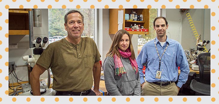 MagLab physicists (left to right) Stan Tozer, Audrey Grockowiak and William Coniglio collaborated with Deemyad's group on her MagLab research probing the mysteries of lithium.