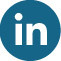 Linkedin icon