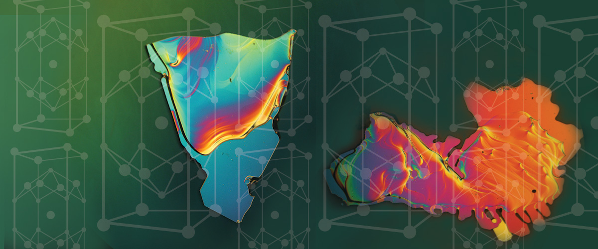 Baumbach Lab banner