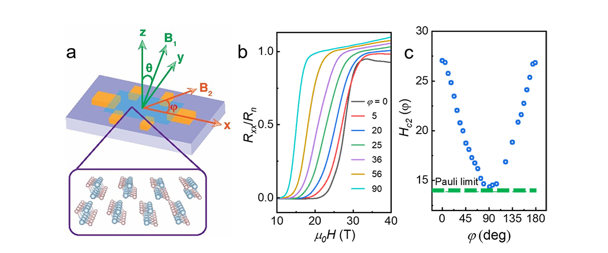 a. Schematic illustration of a 1T′-WS2 device and the rotation experiment setup. b. Magnetic field dependence of the normalized resistance of the 1T′-WS2 device at T = 0.33 K with different in-plane rotation angles φ. c. The φ-dependence of the upper critical field. The green dashed line indicates the Pauli limit.