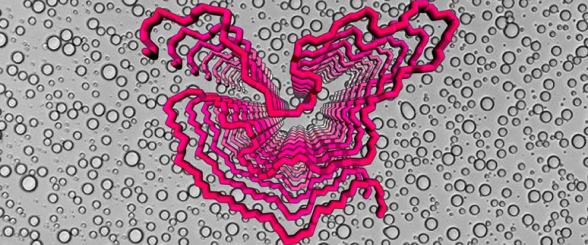 Solid state NMR structure of the FUS low complexity domain. In the foreground is a backbone trace of nine repeating units (in pink) in the protein fibrils. In the background is a light microscope image of liquid droplets formed by the FUS low complexity domain that are melted by phosphorylation of the fibril core region.