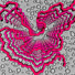 Solid state NMR structure of the FUS low complexity domain. In the foreground is a backbone trace of nine repeating units (in pink) in the protein fibrils. In the background is a light microscope image of liquid droplets formed by the FUS low complexity domain that are melted by phosphorylation of the fibril core region.