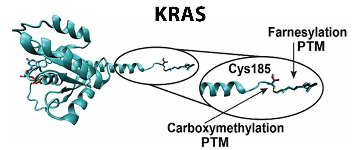 X-ray crystal structure of normal (KRAS4B) 